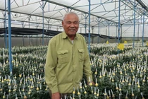 Lão nông chơi trội, bỏ 75 cây vàng mua đất chỉ để trồng hoa