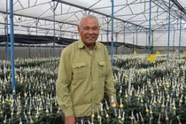 Lão nông chơi trội, bỏ 75 cây vàng mua đất chỉ để trồng hoa