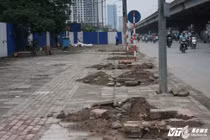 Hàng loạt cây xanh trên phố Hà Nội đột nhiên biến mất