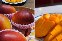 6 món ăn đắt đỏ được giới nhà giàu Nhật ưa chuộng