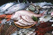 Kinh hoàng bảo quản hải sản bằng thuốc Trung Quốc