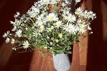 Update ngay 1001 cách cắm đẹp ngây ngất cho nhà thêm xinh