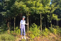 Bỏ việc lương cao, cô gái trẻ về quê kiếm tiền tỷ đều tay