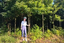 Bỏ việc lương cao, cô gái trẻ về quê kiếm tiền tỷ đều tay