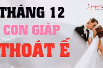 Video: Top con giáp đào hoa vượng sắc, thoát kiếp ế lâu ngày tháng 12/2019