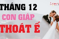 Video: Top con giáp đào hoa vượng sắc, thoát kiếp ế lâu ngày tháng 12/2019