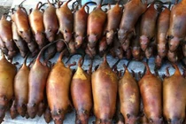 Đặc sản chuột nướng ở Hà Giang