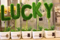 Video: Làm sao để luôn gặp may mắn trong cuộc sống?