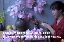Video: 'Tiên nữ' Lý Tử Thất chế biến hoa mộc lan thành món ăn như thế nào?