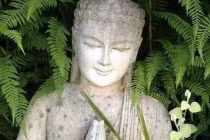 Phật dạy: 6 điều có thể giúp bạn thay đổi cuộc đời