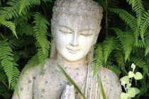 Phật dạy: 6 điều có thể giúp bạn thay đổi cuộc đời