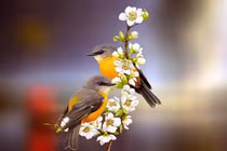 15 ngày tới, 4 con giáp được Thần Tài chiếu cố, cuộc sống khởi sắc