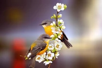 15 ngày tới, 4 con giáp được Thần Tài chiếu cố, cuộc sống khởi sắc