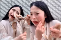 Livestream ăn bạch tuộc sống, cô gái bất ngờ bị bạch tuộc ăn lại
