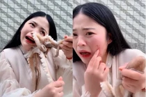 Livestream ăn bạch tuộc sống, cô gái bất ngờ bị bạch tuộc ăn lại