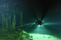 Sinh vật bí ẩn sống bên dưới thành phố ngầm của người Maya