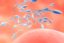 Quý ông "thiêu đốt con giống" vì những lý do này