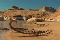 Video: Những sinh vật khổng lồ tồn tại trước cả khủng long