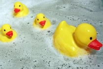 Video: Sự thật kinh hoàng ẩn bên trong những chú vịt cao su dễ thương