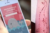 Video: Trò chơi nguy hiểm “Cá voi xanh” xuất hiện tại Tiền Giang