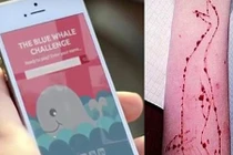 Video: Trò chơi nguy hiểm “Cá voi xanh” xuất hiện tại Tiền Giang