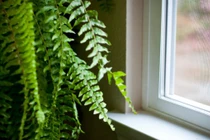 Mẹo giảm nhiệt, chống nóng cho căn nhà trong ngày hè