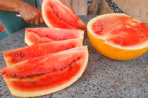 Quả dưa hấu vàng chưng 47 ngày vẫn không hỏng ở Vĩnh Long