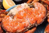 Ăn cua gạch Na Uy, ngắm cành đông đào Trung Quốc