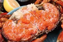 Ăn cua gạch Na Uy, ngắm cành đông đào Trung Quốc