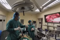 Bệnh hiếm gặp ở người lớn nên rất dễ bị bỏ sót