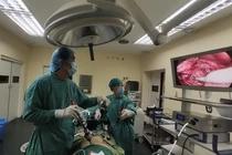 Bệnh hiếm gặp ở người lớn nên rất dễ bị bỏ sót