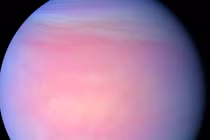 Bất ngờ cách Sao Kim làm tuyệt đường sự sống