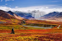 19 bức ảnh minh chứng Alaska là nơi đẹp nhất Trái đất