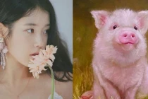 Sau ngày 8/3: 3 con giáp tài vận đỏ chót, may mắn hơn người