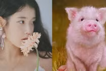 Sau ngày 8/3: 3 con giáp tài vận đỏ chót, may mắn hơn người