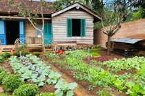 9x biến nhà cũ nát thành nơi ở đẹp như cổ tích