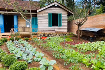 9x biến nhà cũ nát thành nơi ở đẹp như cổ tích