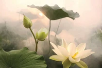 3 điều người tài giỏi thực thụ sẽ không bao giờ làm