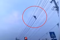 Video: Thót tim người đàn ông làm xiếc trên dây điện cao thế