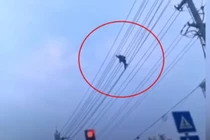 Video: Thót tim người đàn ông làm xiếc trên dây điện cao thế