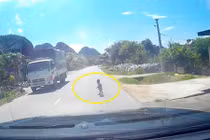 Video: Bố mẹ ngủ trưa, con bò lổm ngổm giữa quốc lộ 7A