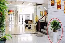 Từ giờ đến cuối năm, nhớ làm theo 6 mẹo phong thủy này để cải vận