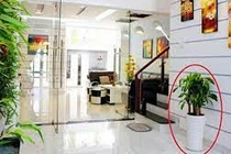 Từ giờ đến cuối năm, nhớ làm theo 6 mẹo phong thủy này để cải vận