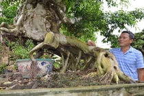 Tài sản 50 tỷ của đại gia Hưng Yên 'tâm thần' không có thuốc chữa