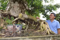 Tài sản 50 tỷ của đại gia Hưng Yên 'tâm thần' không có thuốc chữa