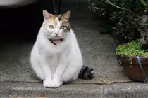 Thấy dấu hiệu này chính là điềm xui đang đến với gia đình bạn