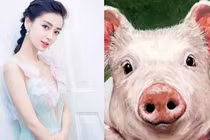 Tuần mới hanh thông, những con giáp vượt qua mọi khó khăn