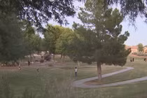 Bé gái 10 tuổi thoát "yêu râu xanh" nhờ mật mã phòng thân