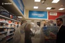 Video: Sợ nhiễm COVID-19, người phụ nữ Anh đi chợ bằng bóng hơi