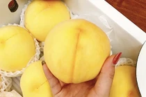 Quà tặng mùa Vu lan: Cặp đào vàng Nhật Bản gây sốt giá tiền triệu